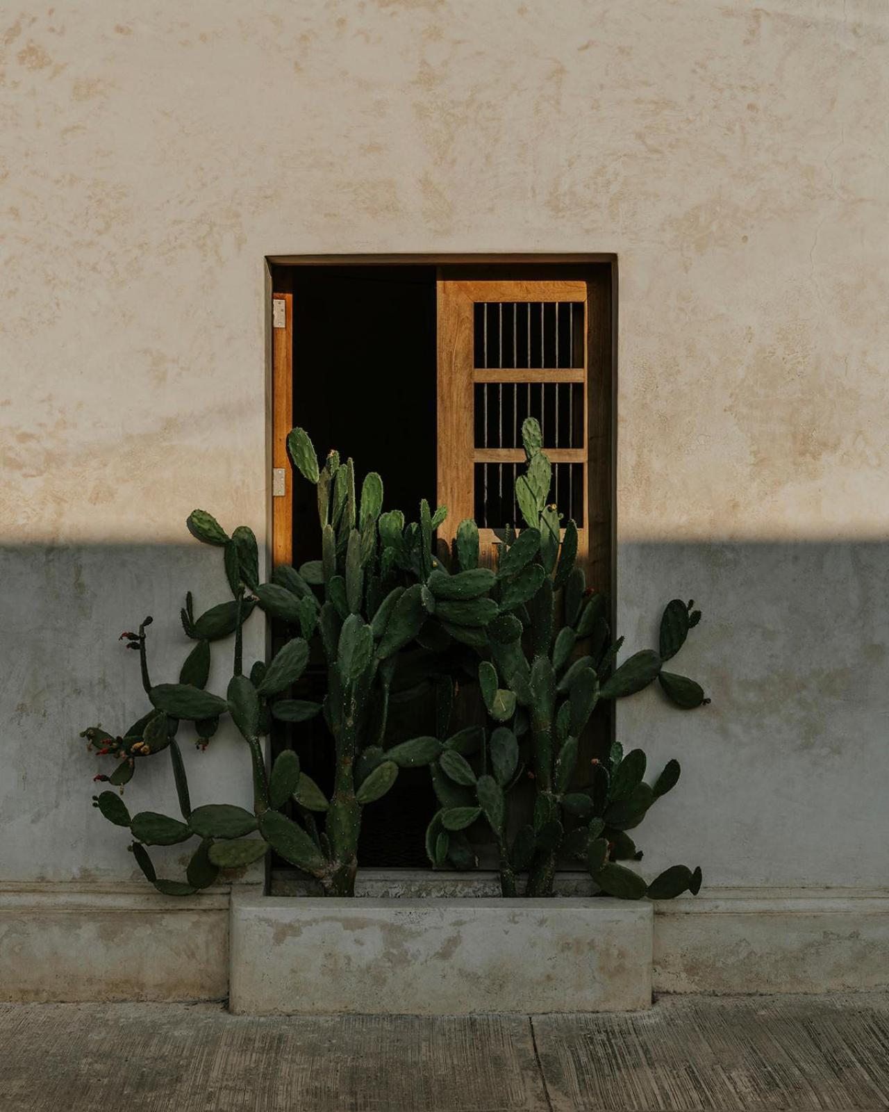 Casona Los Cedros Espita Εξωτερικό φωτογραφία